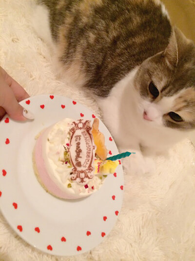 にゃーちゃんと誕生日ケーキ