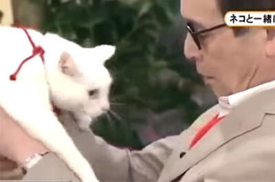 タモリさんと白猫