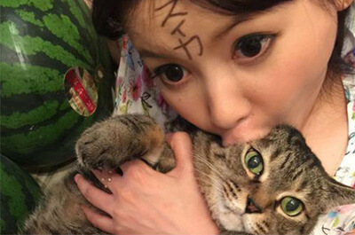 中川翔子と飼い猫のマミタス