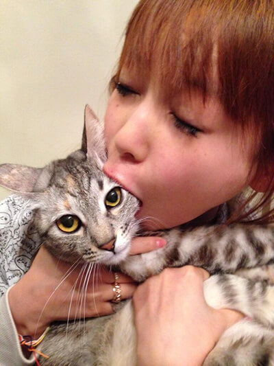 中川翔子の飼い猫ショコラ