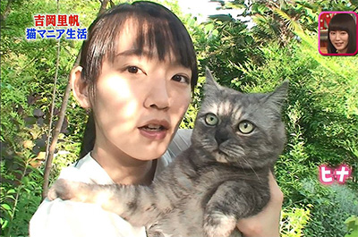 吉岡里帆と飼い猫のヒナ