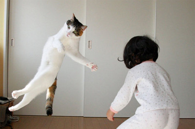 女の子と遊ぶ猫
