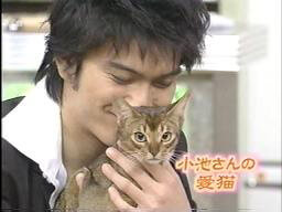 小池栄子の猫を抱く長瀬智也
