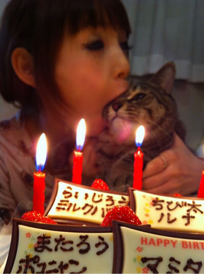 愛猫の誕生日を祝うしょこたん