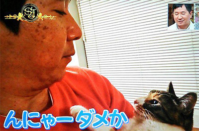 田中裕二と飼い猫のねねちゃん