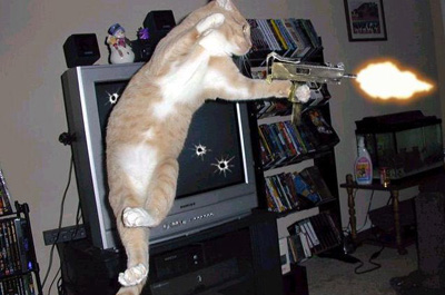 銃を撃つ猫