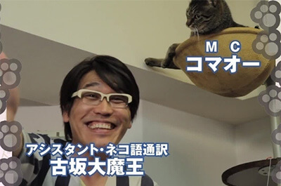 猫好き有名人ランキング1位 中川翔子が飼っている猫の種類や名前とは ねこびあ 猫のトリビア 猫の飼い方や豆知識などが身に付く情報サイト