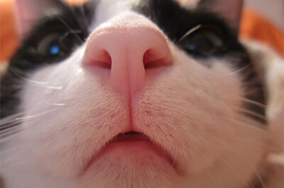 止めてもらえますか?