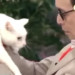 自称「日本成猫餌付け協会会長」タモリさんが飼っている猫の種類や名前って？